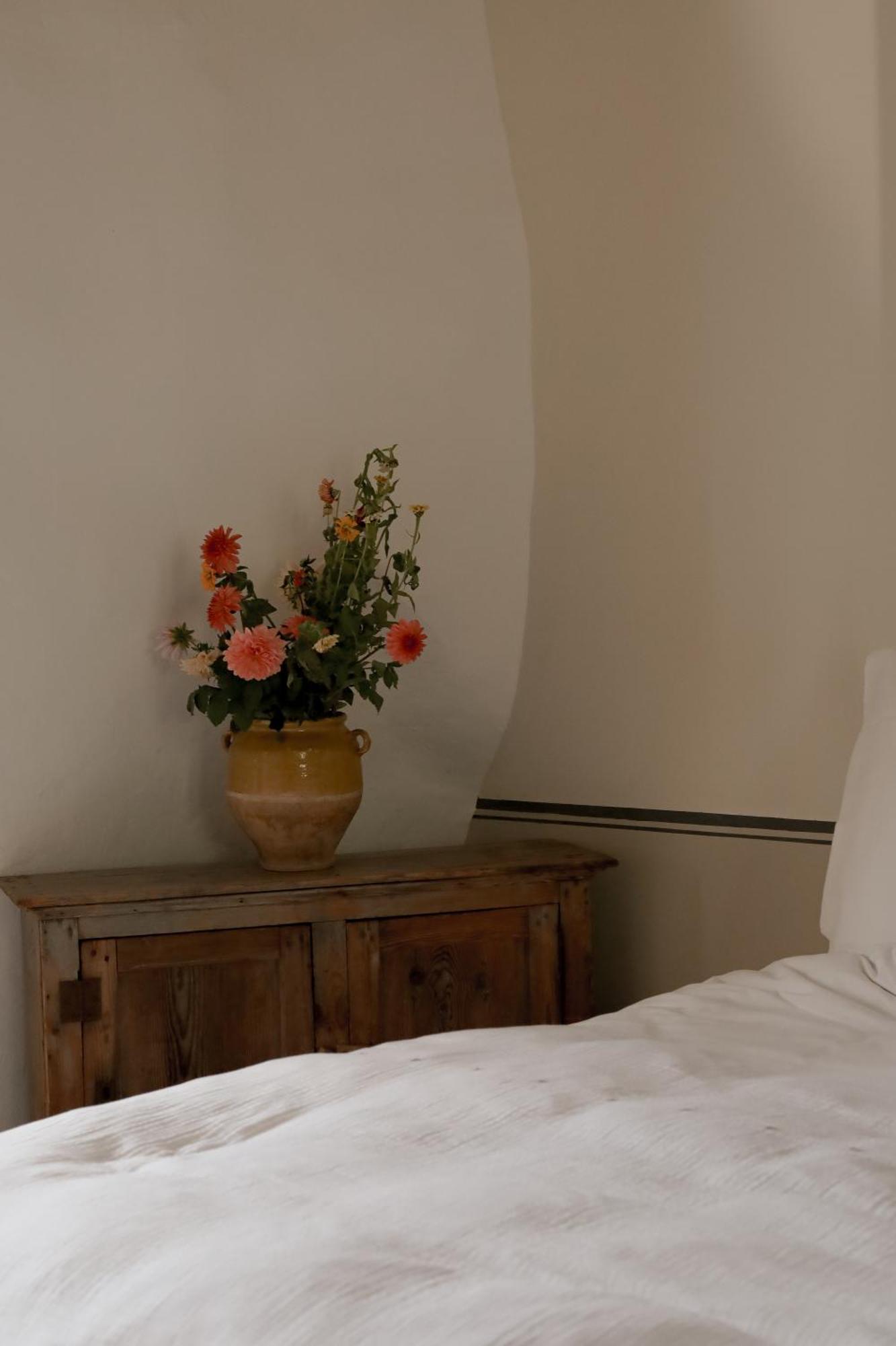 Les Appartements Du Saint Thiers, La Provence Dans Un Coin De La Drome Et L'Esprit D'Une Maison D'Hotes A Saou Extérieur photo
